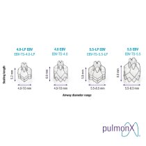 Endobronchiální chlopně Pulmonx Zephyr® EBV-TS-5.5